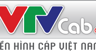 Logo VTV cab